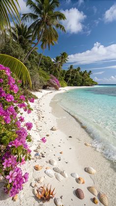 the beach is lined with pink flowers and seashells, while palm trees stand in the background