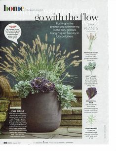 an article in the home and garden magazine about growing flowers, grasses and other plants