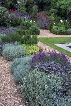 a garden filled with lots of different types of flowers and plants on top of gravel