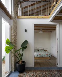 a room with a bed and a plant in it