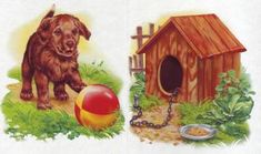 a dog is standing next to a house and ball