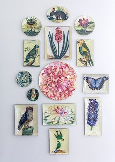 there are many plates with flowers and birds on them, all arranged in the shape of a circle