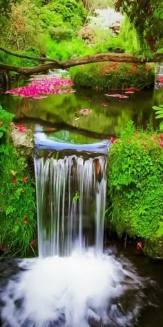 a small waterfall in the middle of a lush green forest filled with flowers and plants