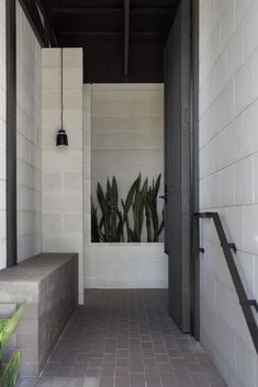 an entry way leading to a building with plants on the wall