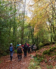 a group of people with backpacks walking down a path in the woods on a fall day