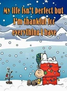 a charlie brown christmas card with the words, my life isn't perfect but i'm thanks for everything i have