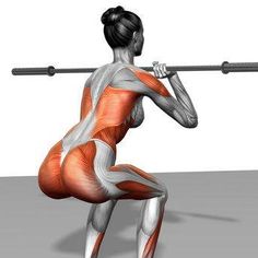 a woman doing squats with a barbell in her hand and the muscles highlighted