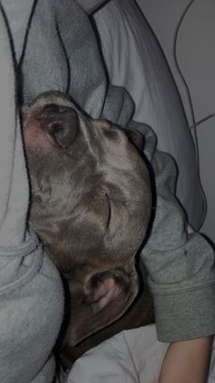 a dog is sleeping under a blanket on the bed with his head sticking out from underneath