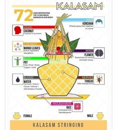 an info poster showing the different types of food and their names in english, spanish, and