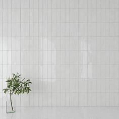 a white tiled wall with a potted plant on the floor in front of it