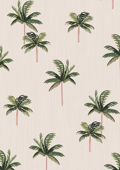 a wallpaper with palm trees on it