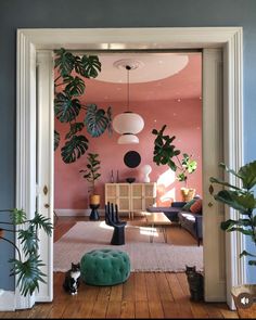 a living room filled with lots of plants next to a wall covered in pink paint