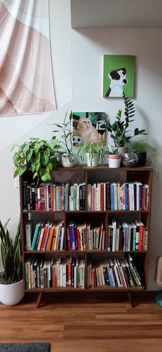 a bookshelf filled with lots of books next to a potted plant on top of a hard wood floor