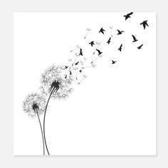 a dandelion blowing in the wind with black birds flying around it on a white background