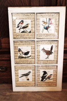 four birds on sheet music are displayed in an old white frame with woodgrains