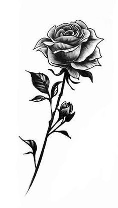 Feb 112022Discover recipeshome ideasstyle inspiration and other ideas to try. Single Rose Tattoos, Rose Drawing Tattoo, Rose Hand Tattoo, Rose Tattoos For Men, Rose Tattoos For Women, Tattoo Shoulder, Small Rose Tattoo, Black Rose Tattoos