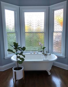 a bath tub sitting under three windows next to a potted plant