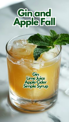 the gin and apple fall cocktail is garnished with mint