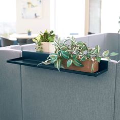 there is a plant that is sitting on the edge of a couch in an office