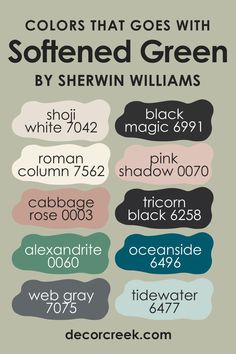 the colors that goes with softenered green by shewin williams info graphic design