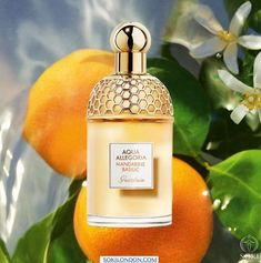 Guerlain Aqua Allegoria Mandarine Basilic Perfume Perfumes To Buy, Business Advertisement, Expensive Perfume, Luxury Perfumes, Perfume Ad, Serge Lutens, Sense Of Smell, Luxury Perfume, Fragrance Collection