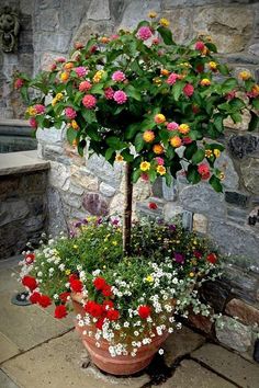 a potted plant with colorful flowers in it