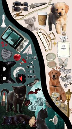 a collage of cats, dogs, and other things