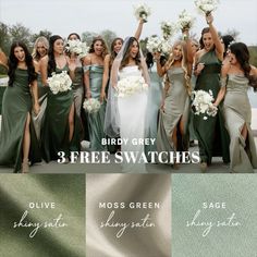 the bridesmaids are posing with their bouquets in front of an image that says bird grey 3 free swatches