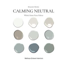 the color scheme for calming neutral, which includes gray and white paint palettes with different shades