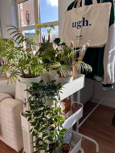 a plant stand in the corner of a living room filled with plants and other things