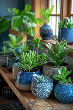 Plants Indoor Design, Kaktus Dan Sukulen, Easy Indoor Plants, Knitting Diy, Air Purifying Plants