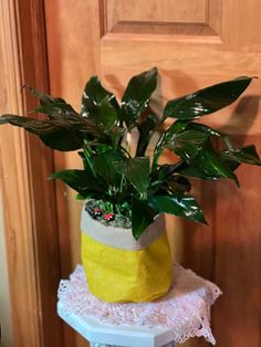 a potted plant sitting on top of a white table next to a wooden door