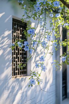 blue flowers growing on the side of a white building