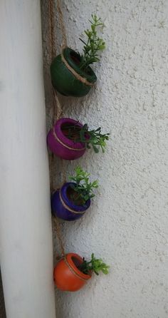 several pots are hanging on the wall with plants in them