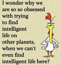 an image of a cartoon chicken saying, i wonder why we are so obsesed with