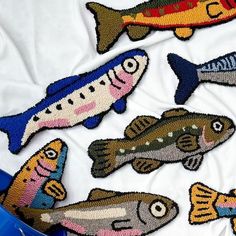 four fish hooked up to each other on a white cloth with blue bucket in the background