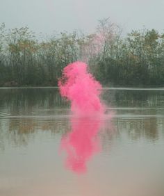 a pink substance is in the water with trees behind it and an inscription that reads, no one