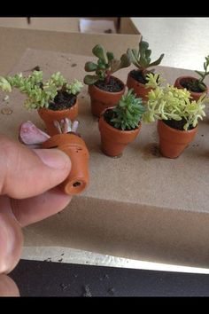 a hand is holding an orange carrot in front of small potted plants on a table