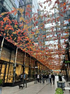 people are walking down the sidewalk in front of an office building with red and yellow trees