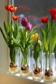 three vases filled with water and flowers on top of a window sill