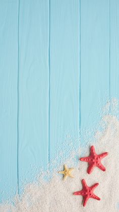 three starfishs are in the sand on a blue background