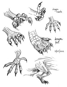 some drawings of different types of hands and feet, with the words dragon tattoos on them