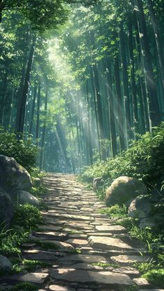 a path in the middle of a forest with rocks and grass on both sides, leading into the light