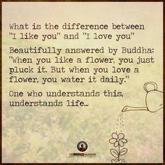 a quote from buddha about love and life