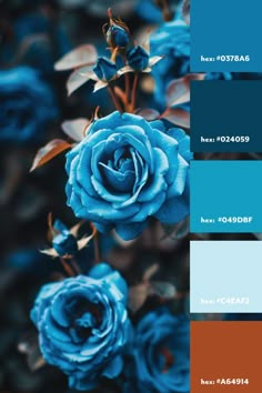 a blue rose is in the middle of color swatches with brown and teal tones