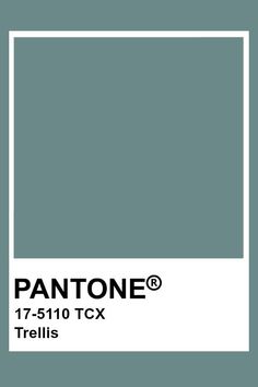 the pantone color is shown in this image, it's gray and white