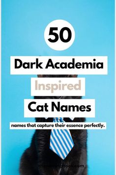 a cat wearing a tie with the words 50 dark academy inspired cat names