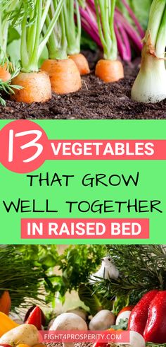 vegetables that grow well together in raised beds are the best way to keep them fresh