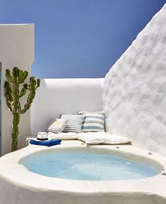 an outdoor jacuzzi tub in the middle of a patio with a cactus on it