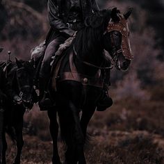 a man riding on the back of a black horse next to two other horses in a field